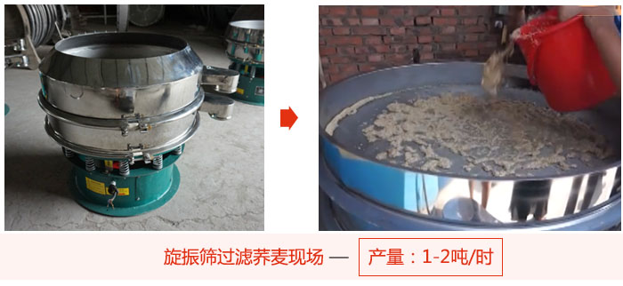 旋振篩過濾蕎麥現(xiàn)場，產(chǎn)量可達(dá)2噸每小時。